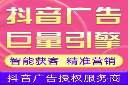 某行业巨头背后的SEM代运营托管公司